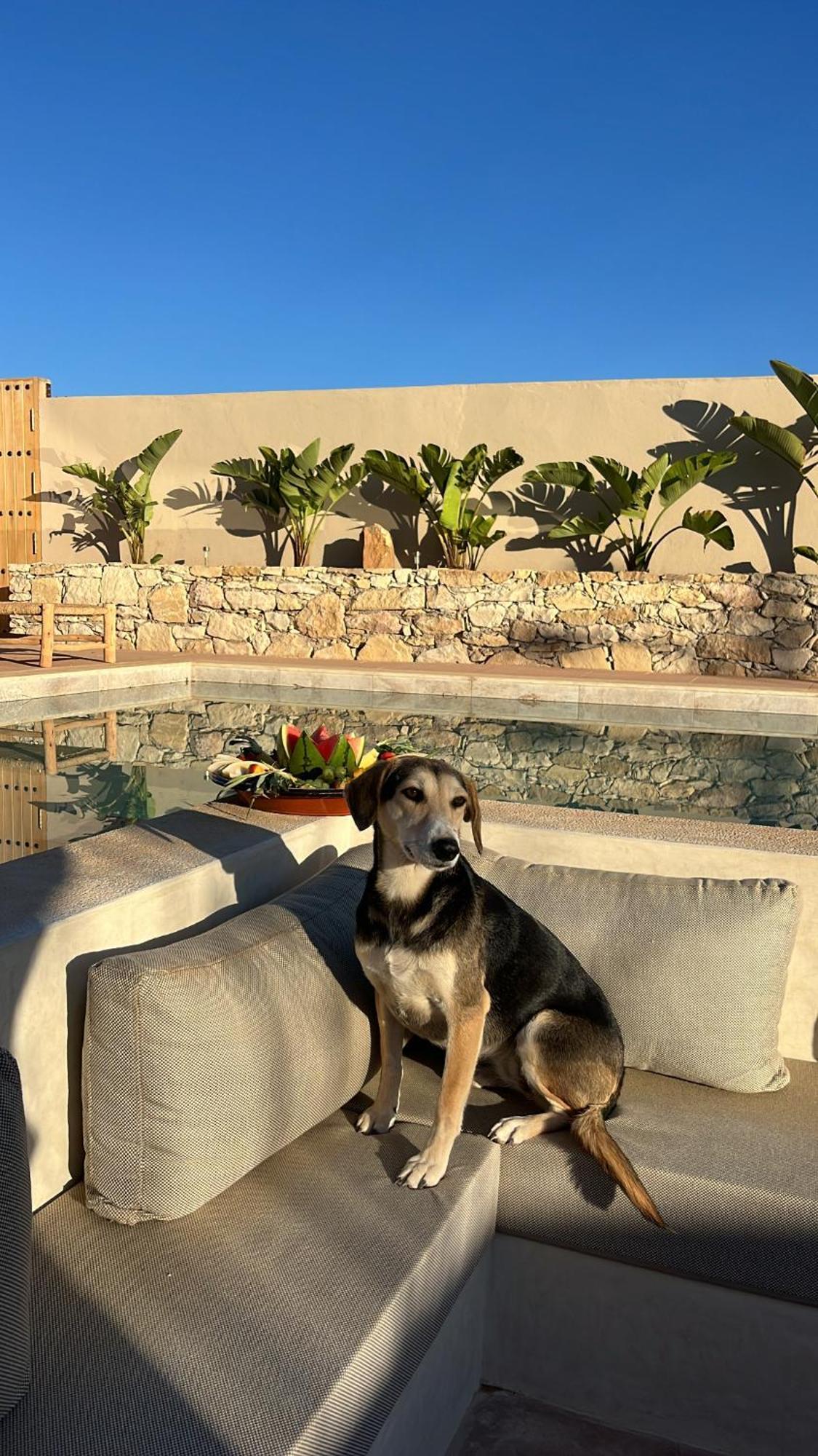 Argan House Morocco Taghazout Exterior foto